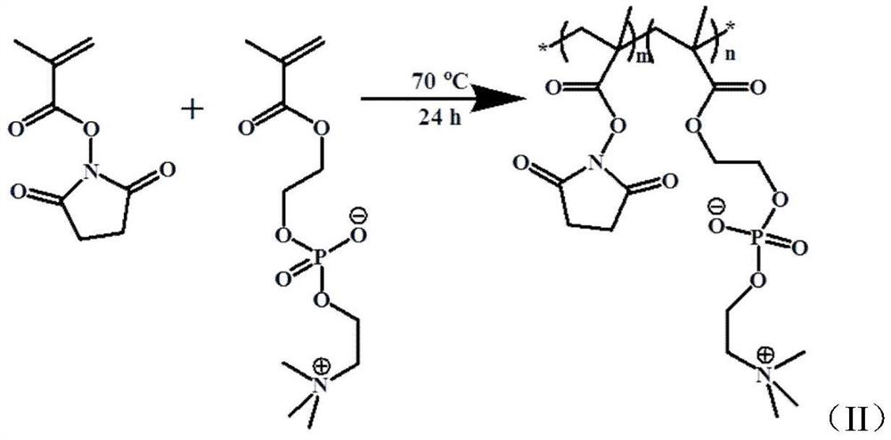 Cartilage targeting zwitterionic polymer, preparation method and application thereof