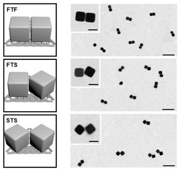 A method for assembling nano-gold cubes to form dimer structures using DNA origami templates based on surface-enhanced Raman effects