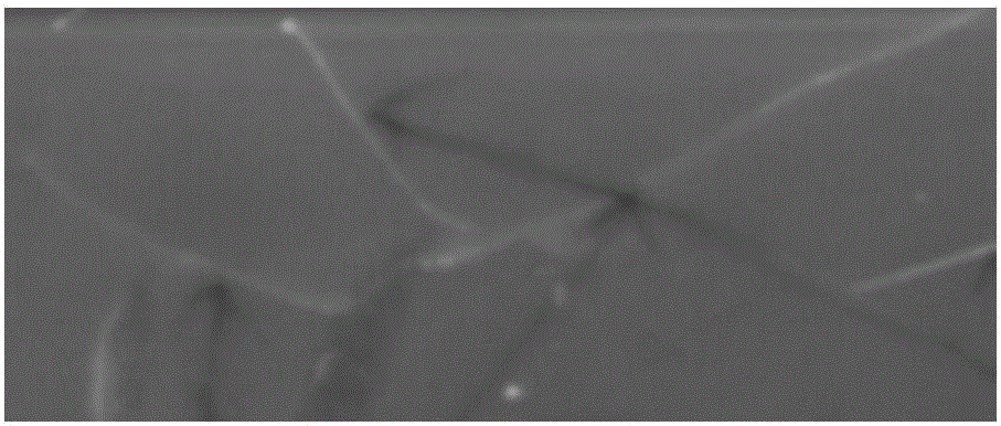 Surface crack texture extraction method based on fusion of seepage algorithm and adaptive Canny algorithm