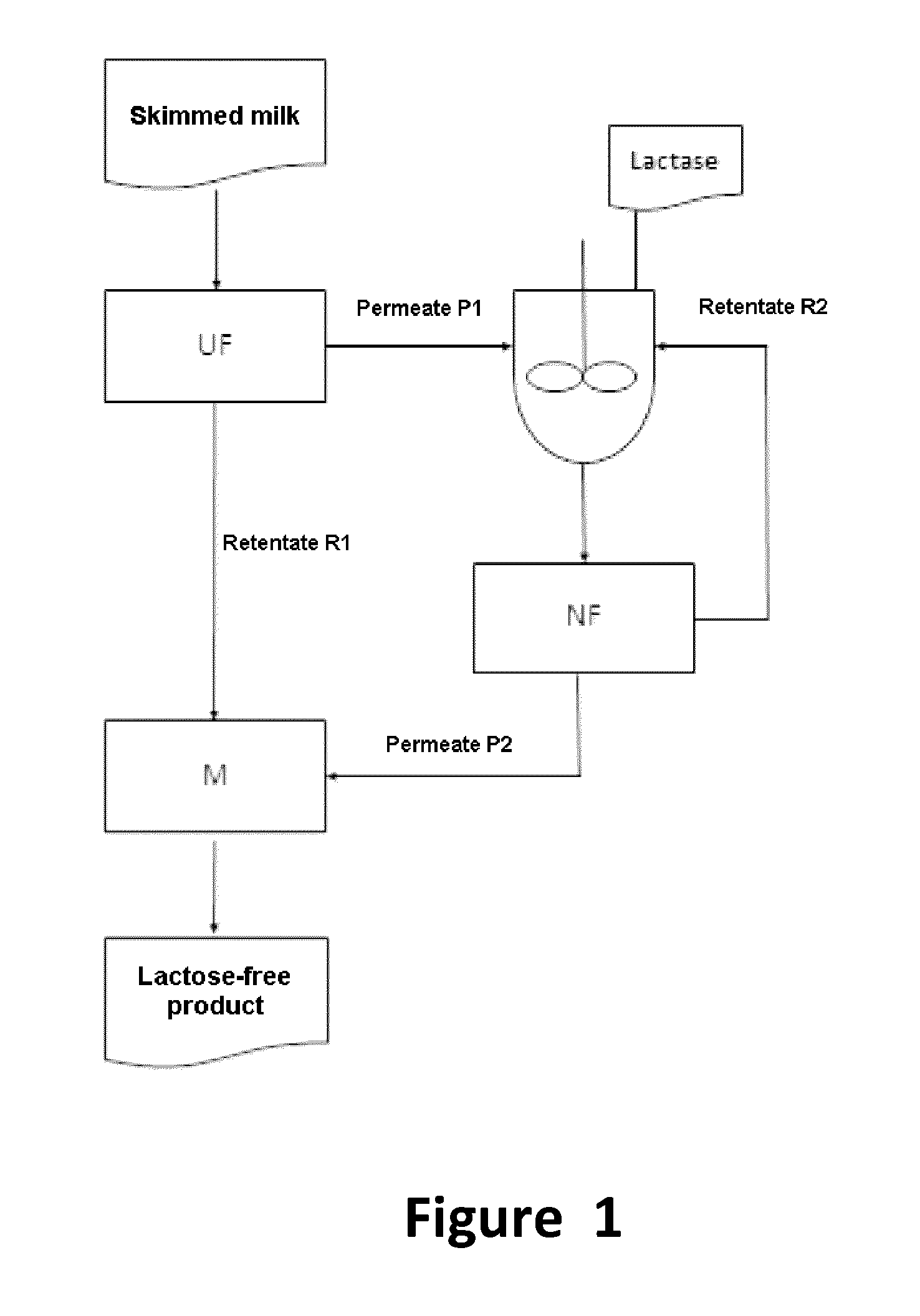 Lactose-Free Milk Products