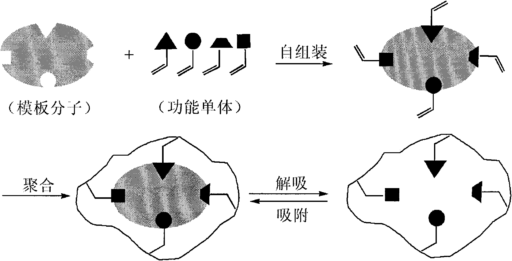 Preparation method and use of molecular imprinting-absorbing extraction stirring rod