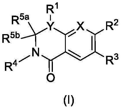 Dihydroorotate dehydrogenase inhibitors