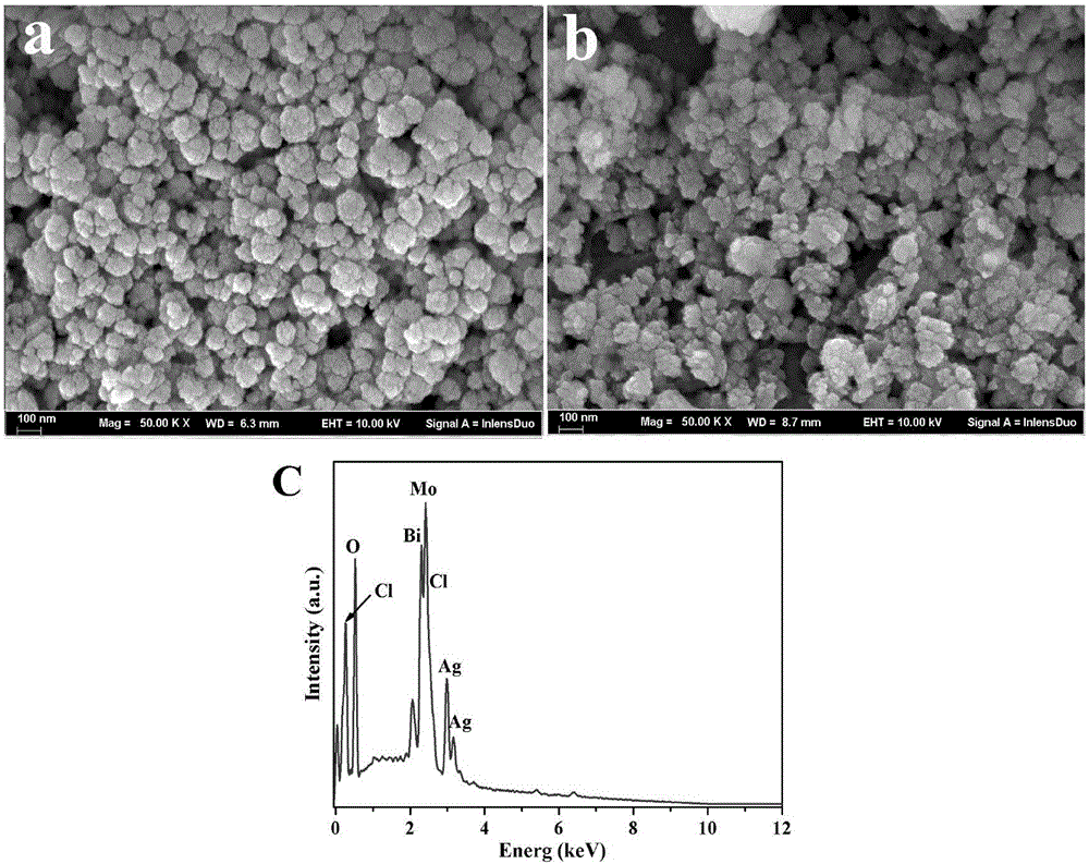 Method for synthesizing plasma composite photocatalyst