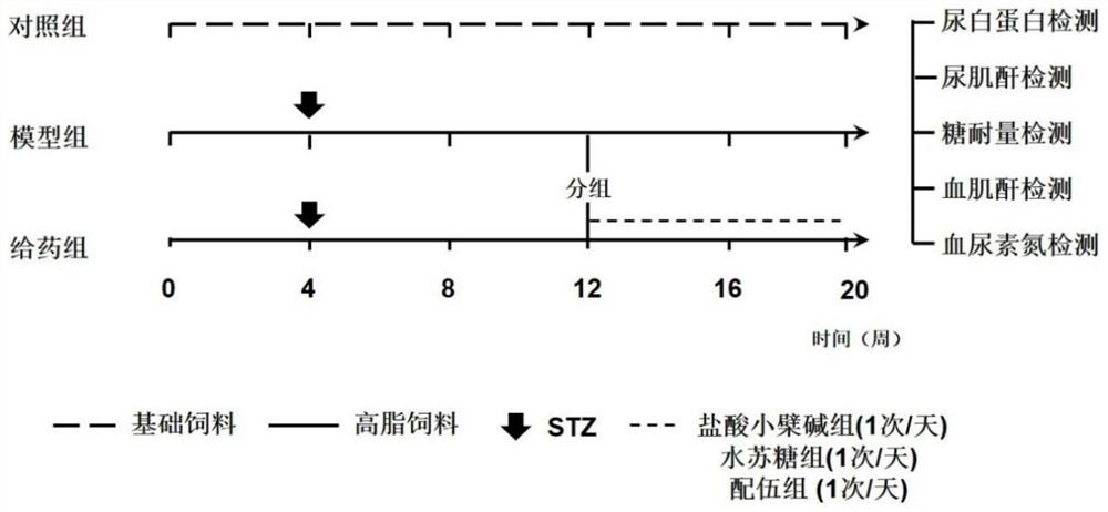 Pharmaceutical composition and application thereof