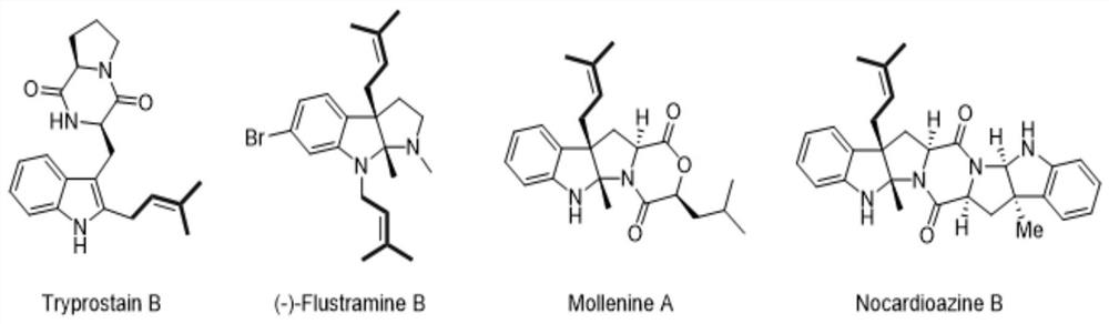 A method for introducing isopentenyl at the C3 position of indole