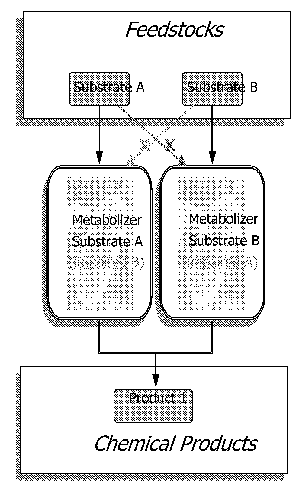 Complementary metabolizing organisms and methods of making same