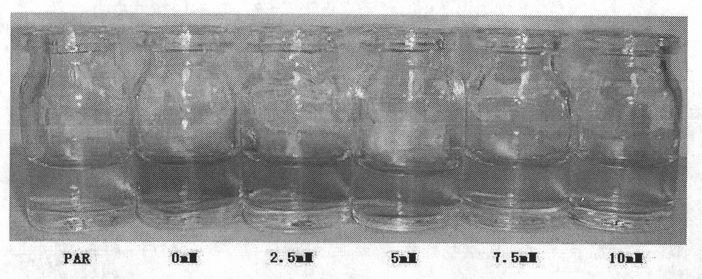 Method for rapidly detecting inorganic phosphorus in water solution