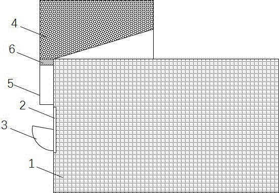 An automatic feeding pet cage