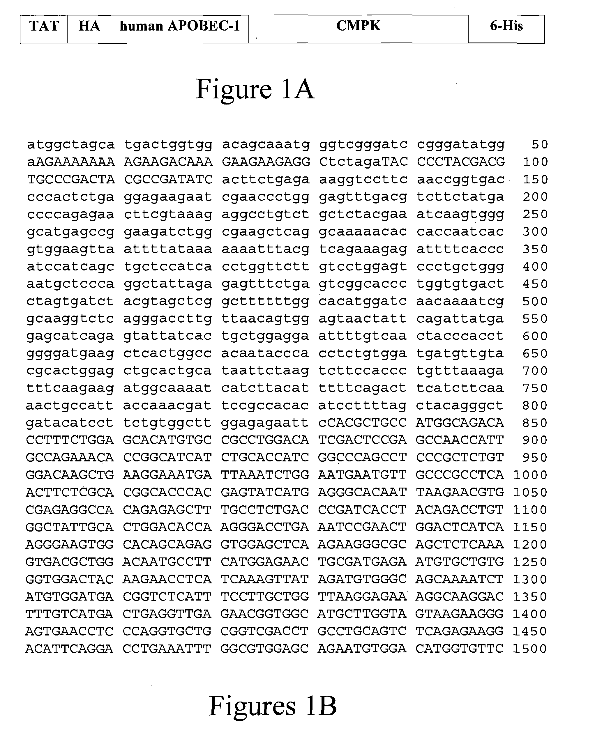 Methods and Compositions for Modifying Apolipoprotein B mRNA Editing