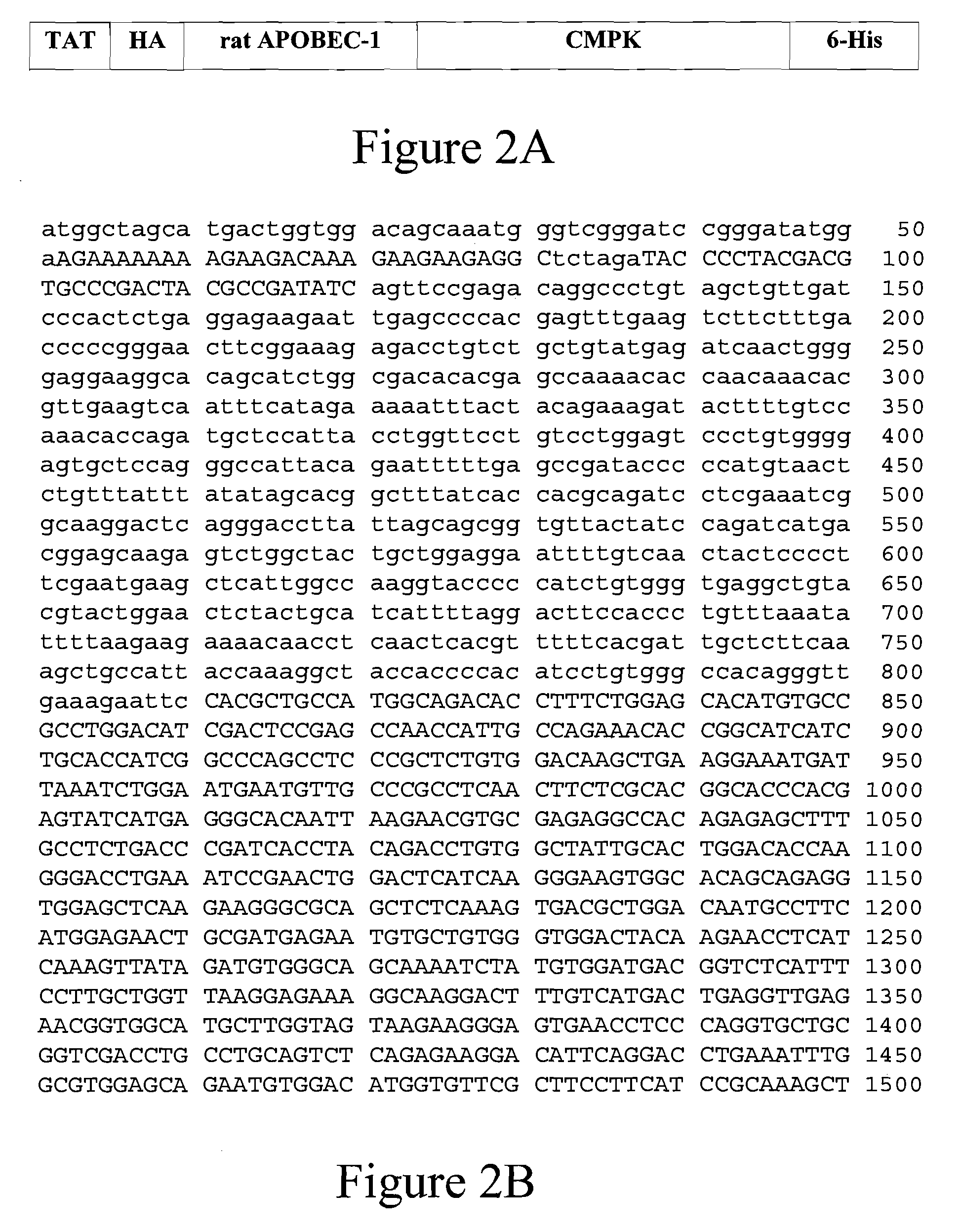 Methods and Compositions for Modifying Apolipoprotein B mRNA Editing