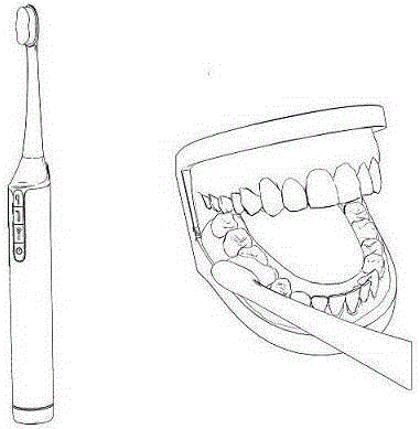 Overall cleaning equipment for oral cavity and application method of overall cleaning equipment