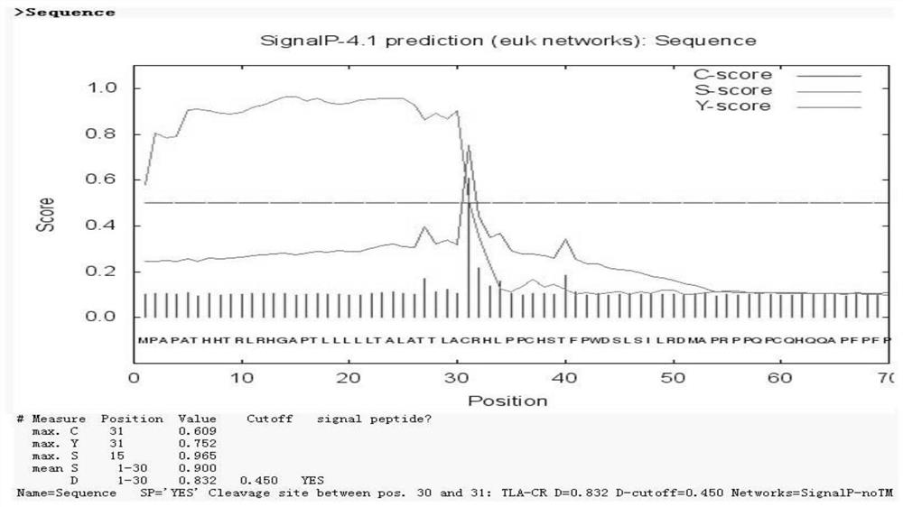 Cloning expression and polyclonal antibody preparation of black-headed gull IFN alpha protein