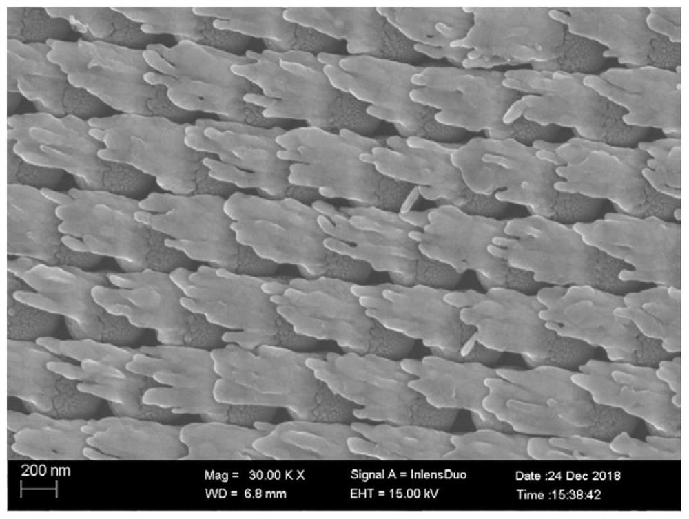 Preparation and application of a silver nanorod array with tunable resonance wavelength