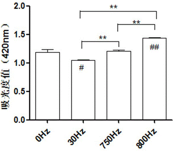 Application of vibration stimulation in regulation of in vitro osteogenesis and adipogenic differentiation of bone marrow-derived mesenchymal stem cells