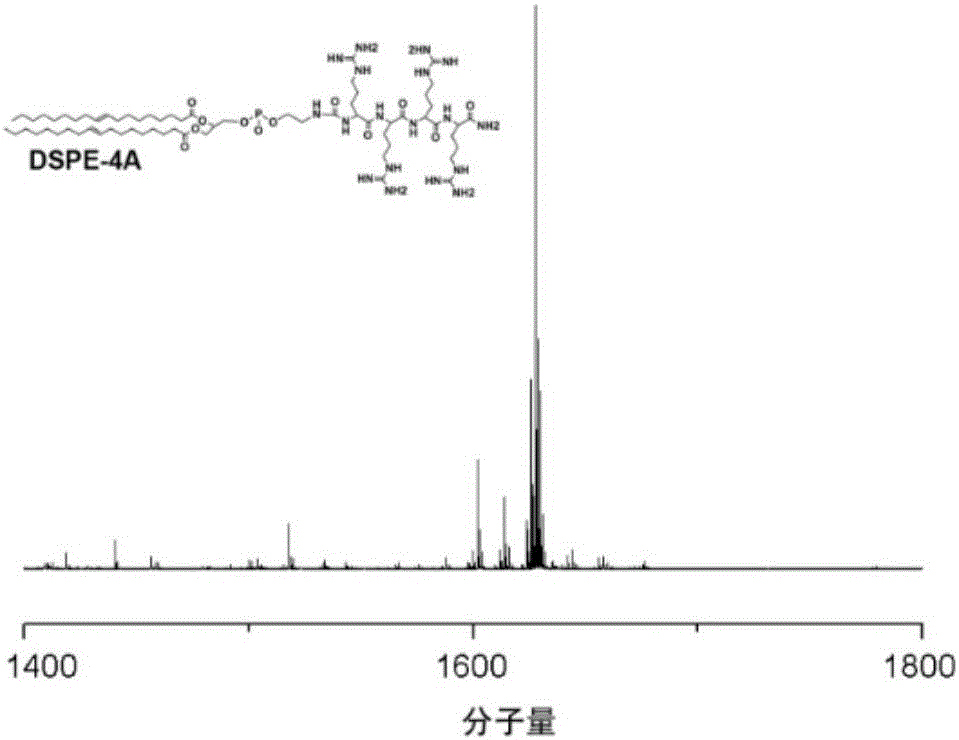 Oligoarginine modified phospholipid, nanoparticles assembled by oligoarginine modified phospholipid, preparation method of oligoarginine modified phospholipid and application of nanoparticles