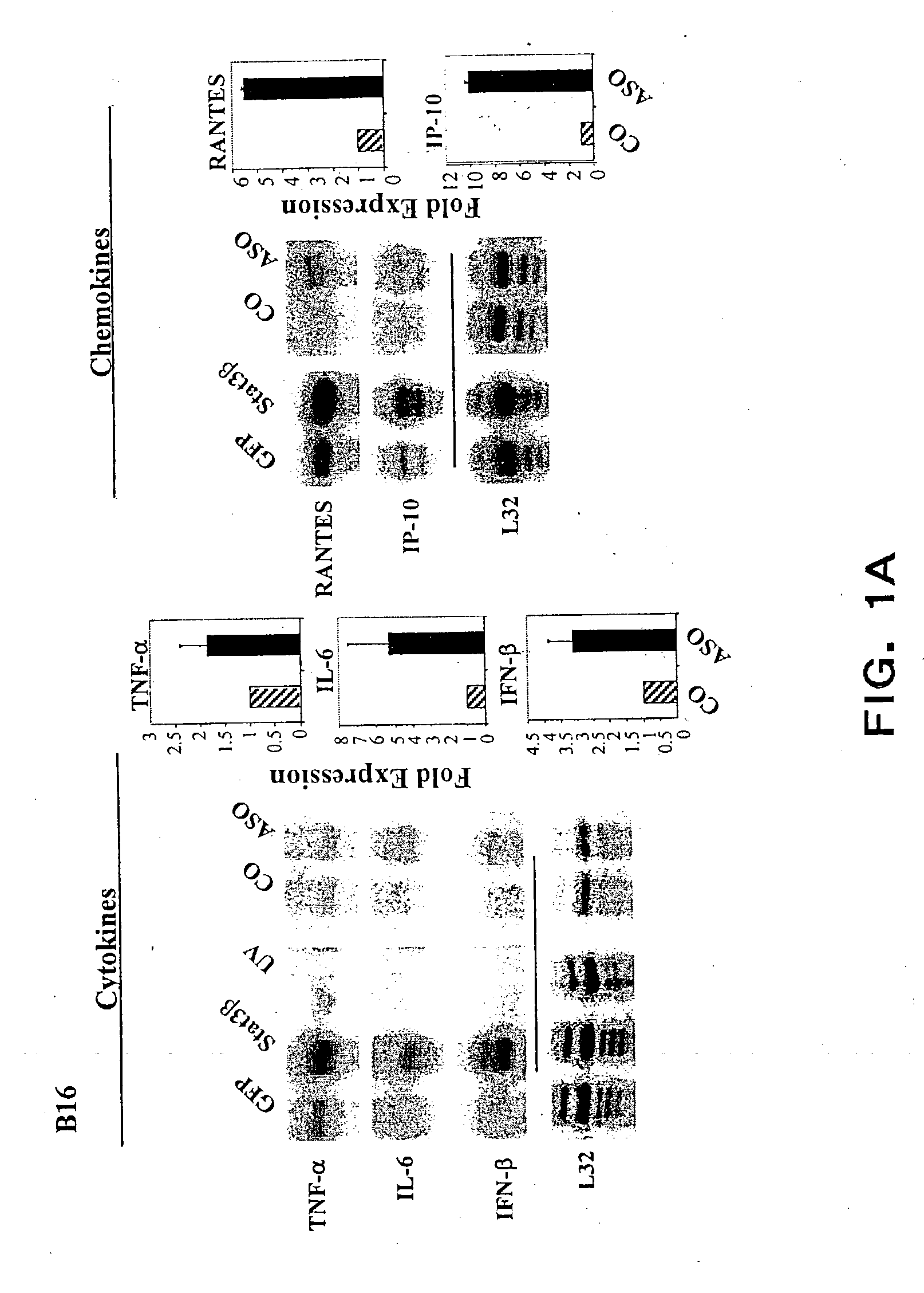 Stat3 antagonists and their use as vaccines against cancer