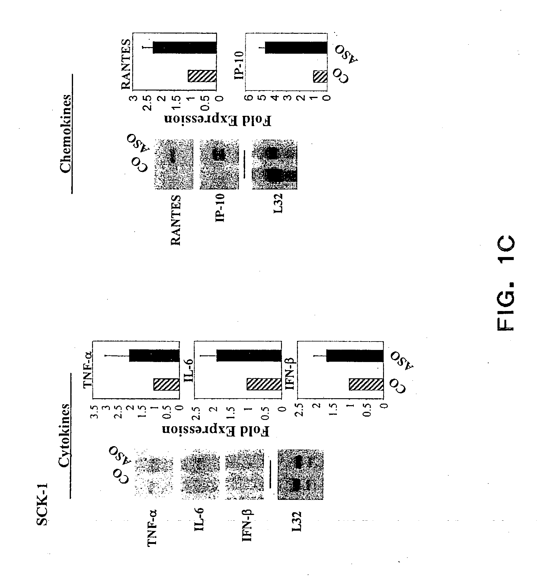 Stat3 antagonists and their use as vaccines against cancer