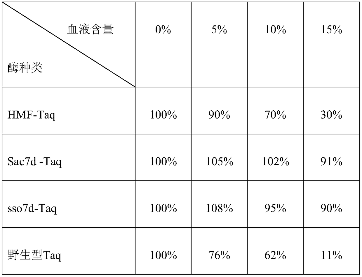 Fusion TaqDNA polymerase and application thereof