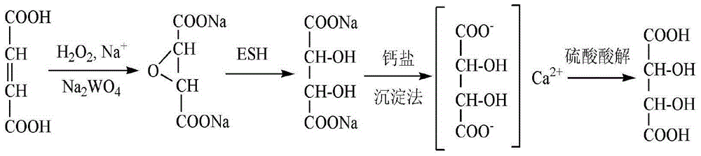 Method for synthesizing calcium epoxy succinate suspension and method for producing L-(+)-tartaric acid