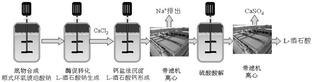 Method for synthesizing calcium epoxy succinate suspension and method for producing L-(+)-tartaric acid