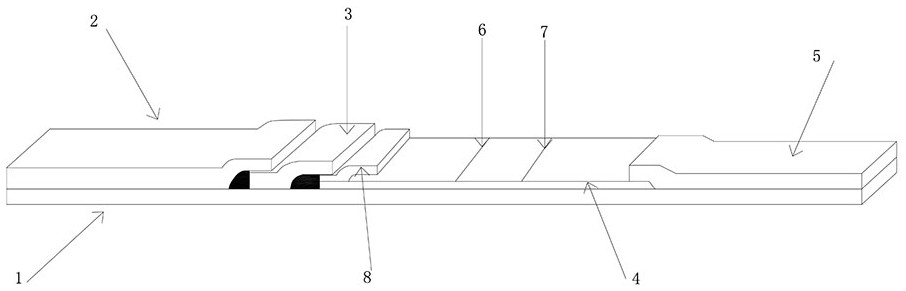 Colloidal gold immunochromatography trace whole blood detection test paper and detection method thereof