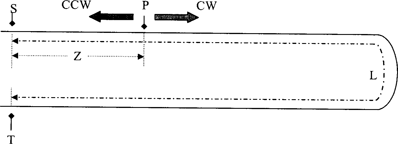 Distributed optical fiber vibration sensing method and apparatus thereof