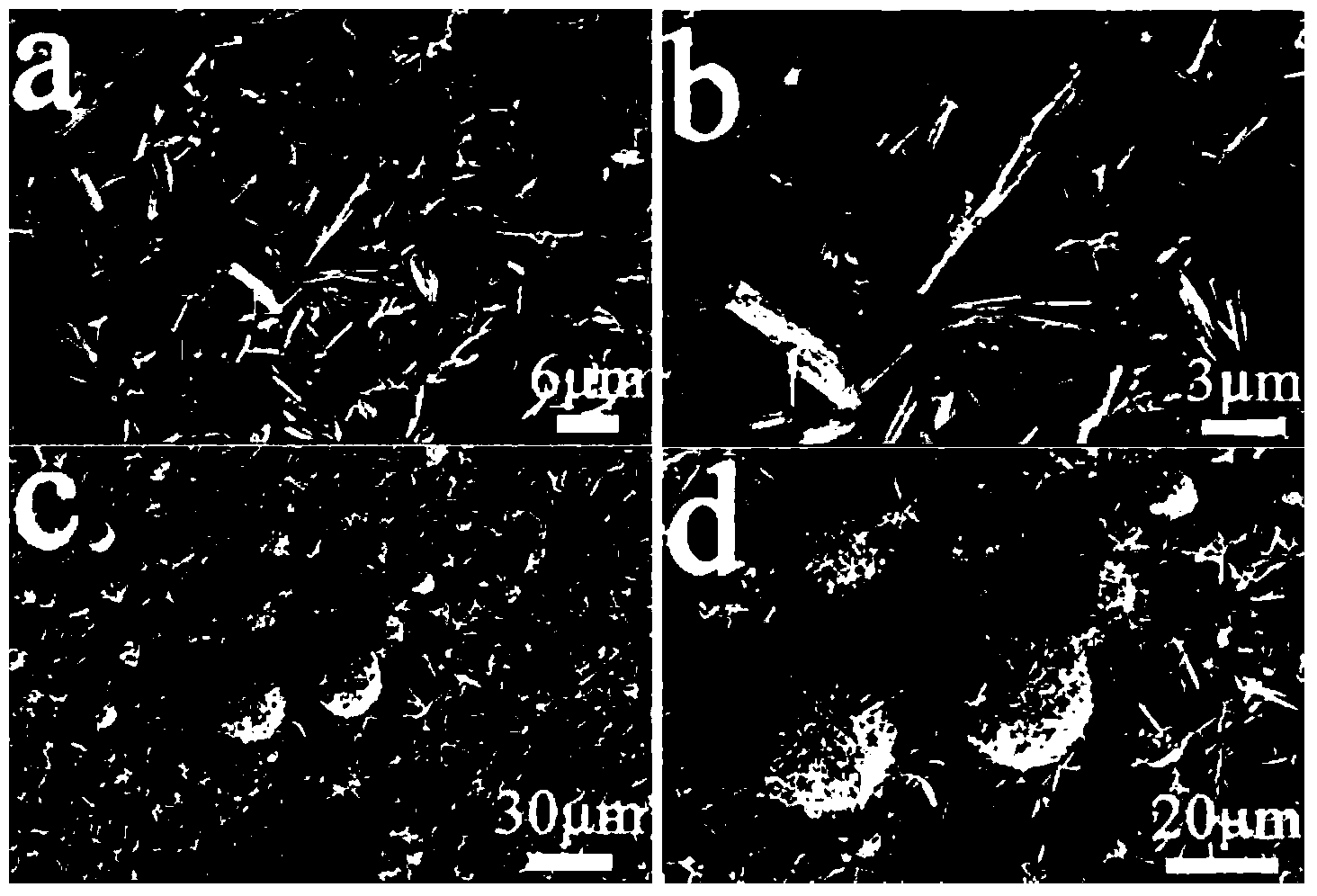 Preparation method and application of spherical tin sulfide consisting of nanorods