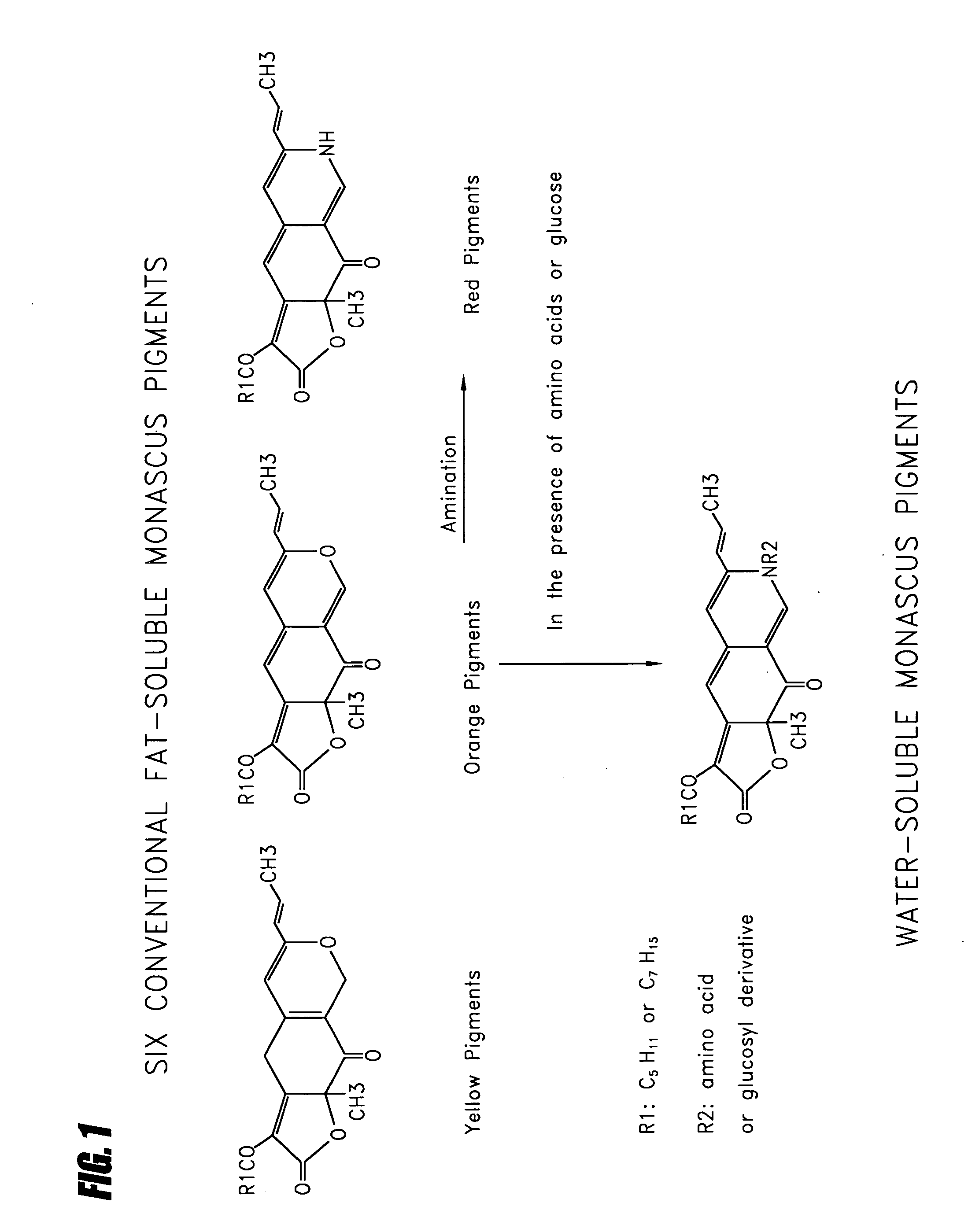 Method for preparing citrinin-free Monascus biomass and use of citrinin-free Monascus biomass