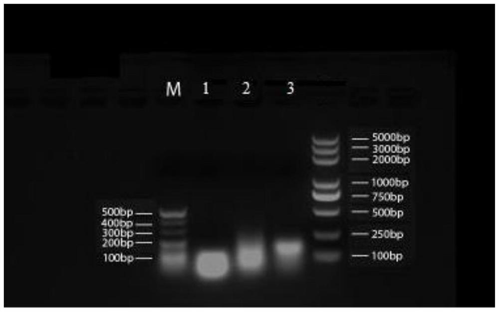 Medicine containing aspirin, its preparation method, pharmaceutical composition and application