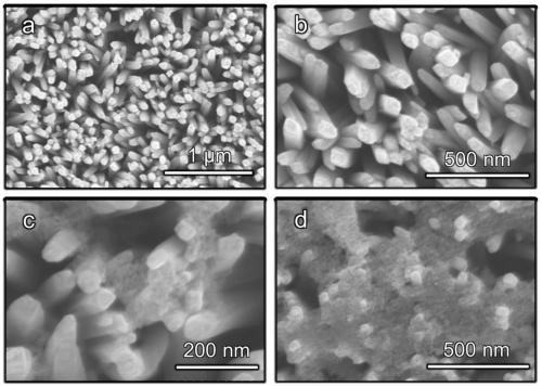 Semiconductor anode material for hydrogen peroxide preparation by photoelectrocatalysis and preparation method thereof