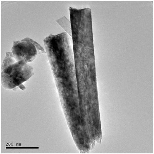 Semiconductor anode material for hydrogen peroxide preparation by photoelectrocatalysis and preparation method thereof