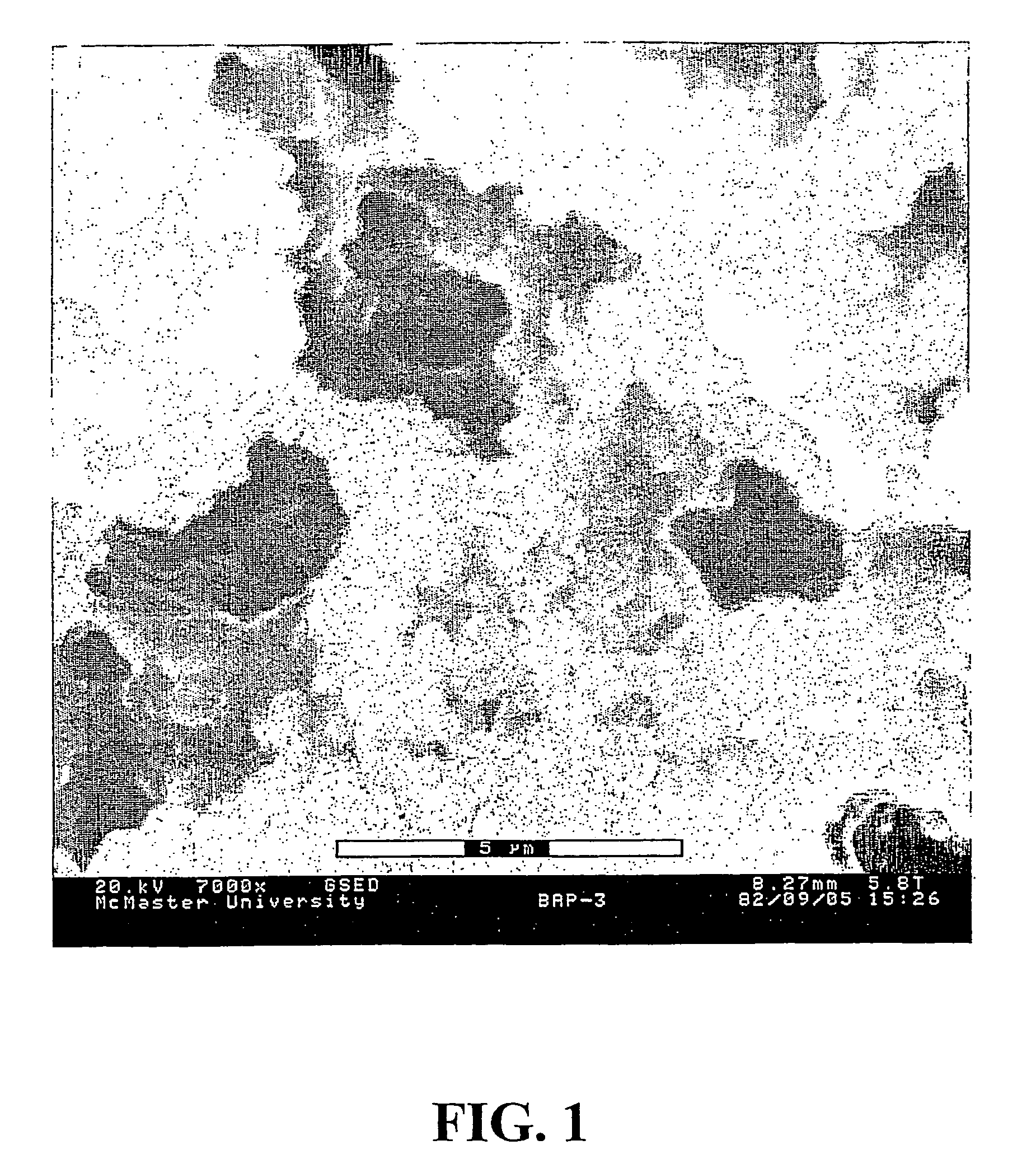 Stable Composite Material Comprising Supported Porous Gels