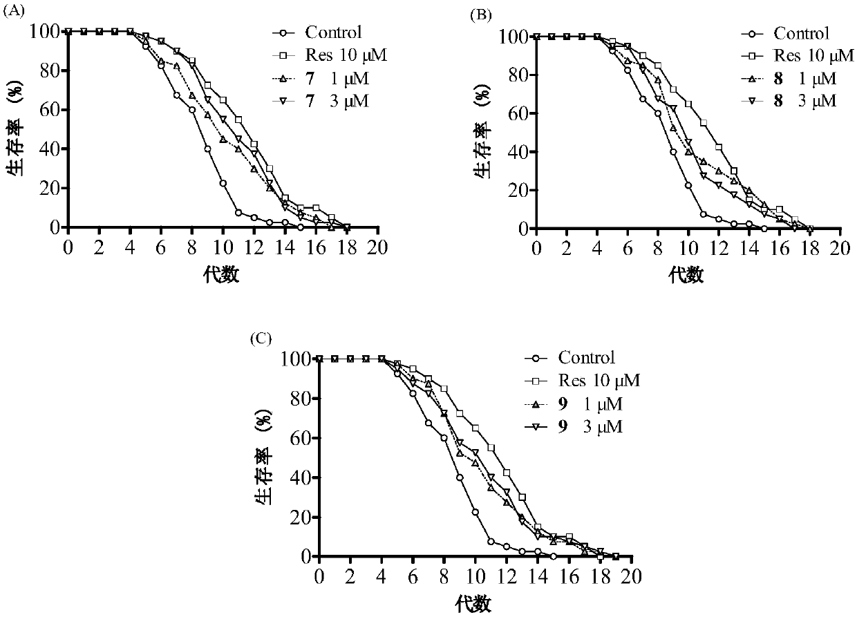 Cucuribitane triterpene compound extraction method and application of antiaging medicine using same