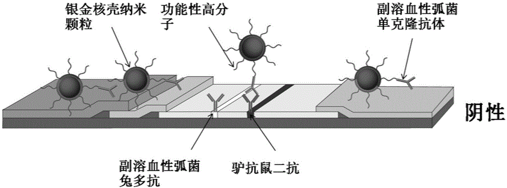 Seafood product detection kit, preparation method and applications thereof