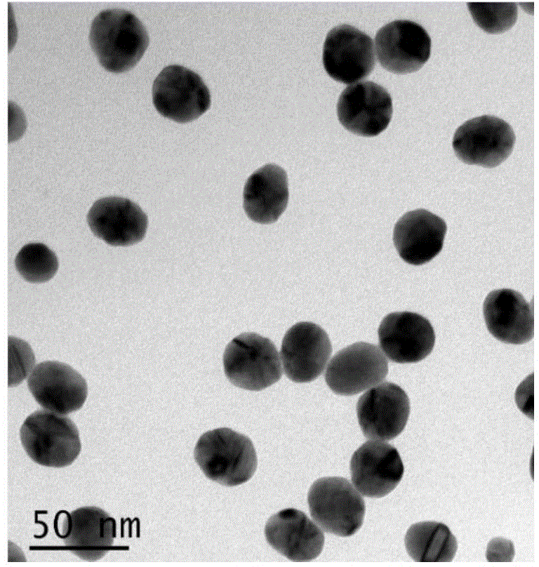 Seafood product detection kit, preparation method and applications thereof