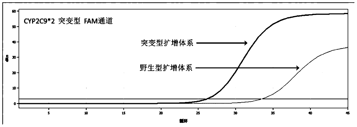 Kit for detecting polymorphism of human CYP2C9 and VKORC1 genes