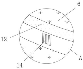 Oil pressing device for agricultural processing