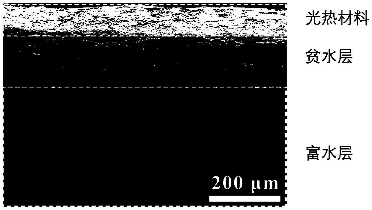 Method and device for efficient photo-thermal water evaporation