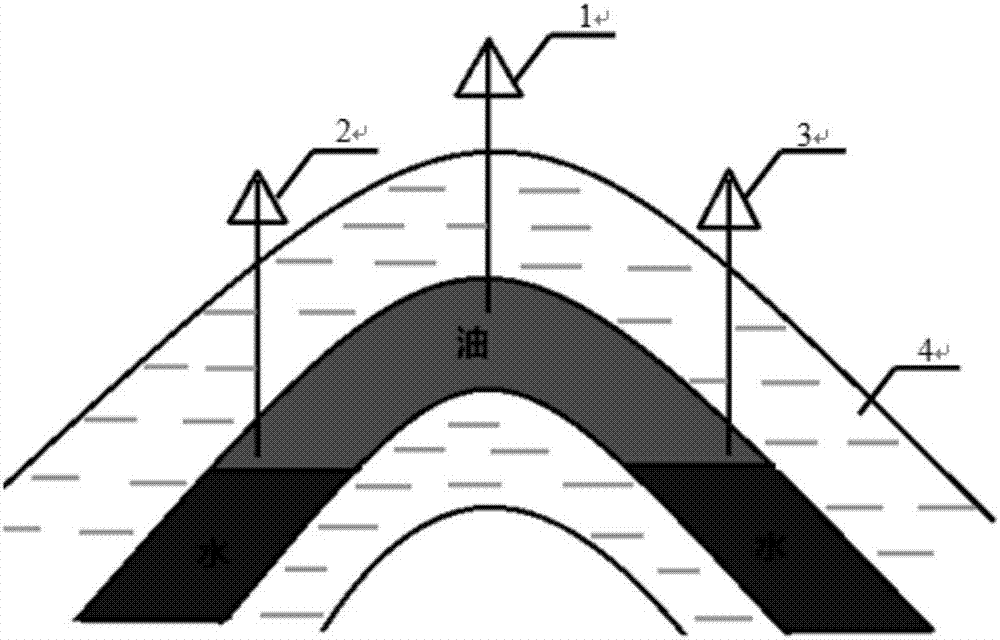 Foam-assisted gravity oil driving method