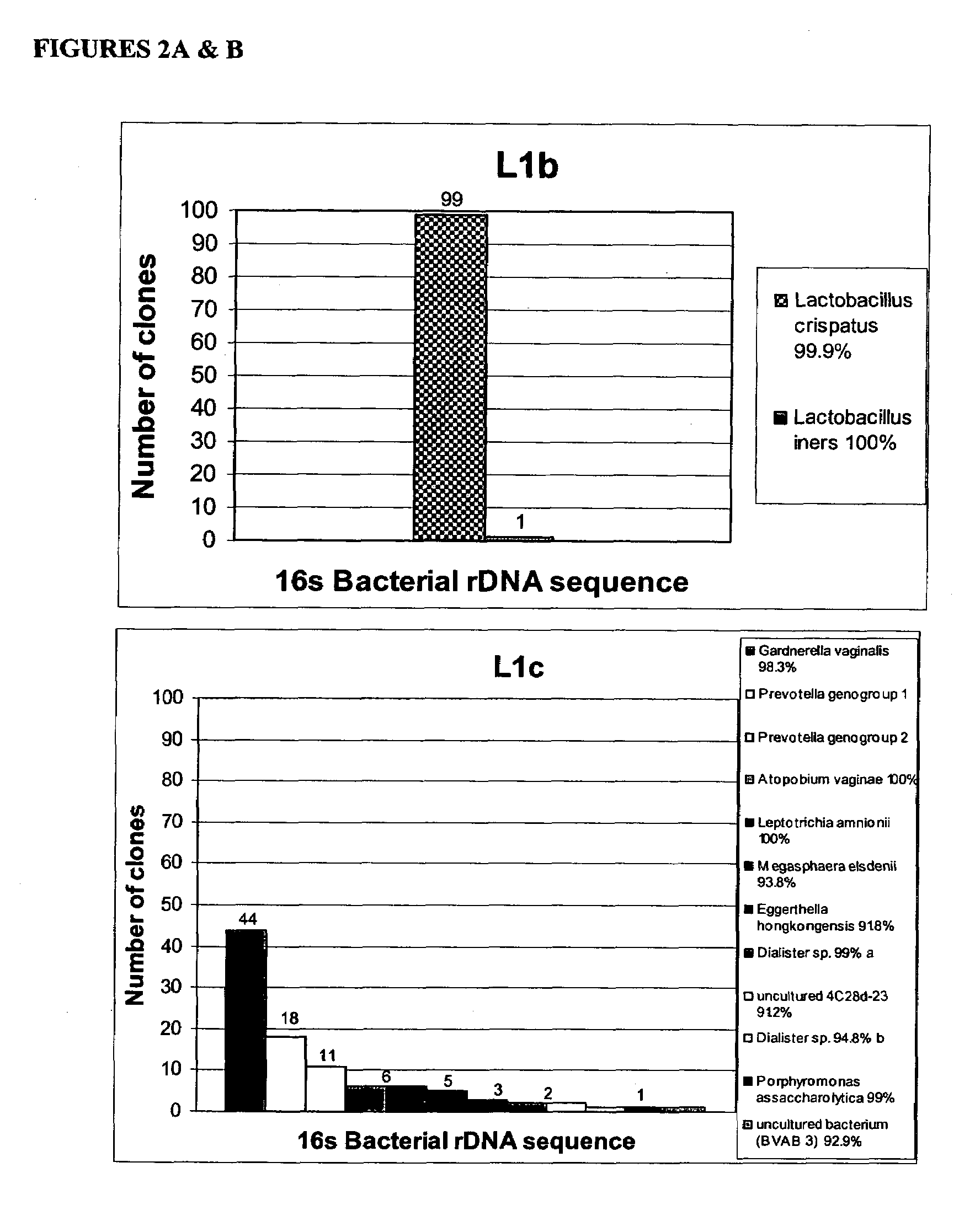 Methods and compositions for identifying bacteria associated with bacterial vaginosis