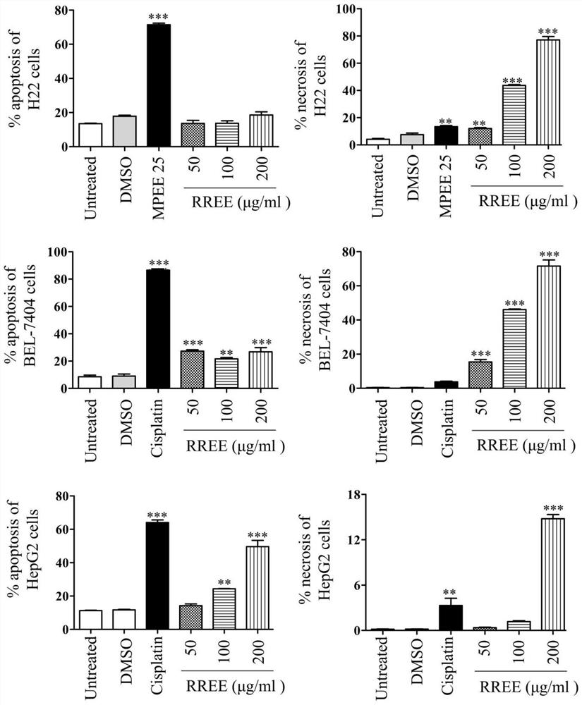 Alcohol extract of rhytidium rugosum, its preparation method and application in preparation of anti-liver cancer drugs