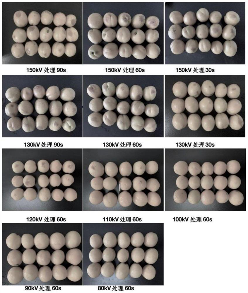 Green and efficient fresh-keeping method for apricots