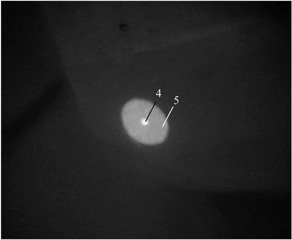 Method for measuring the cladding light ratio of double-clad fiber lasers