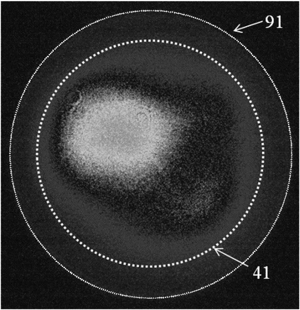 Method for measuring the cladding light ratio of double-clad fiber lasers