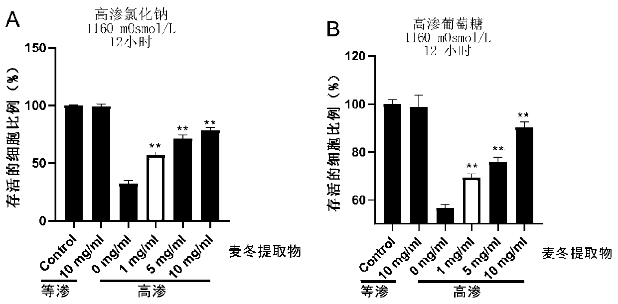 Gum-based chewing tobacco containing radix ophiopogonis extract and preparation method of gum-based chewing tobacco