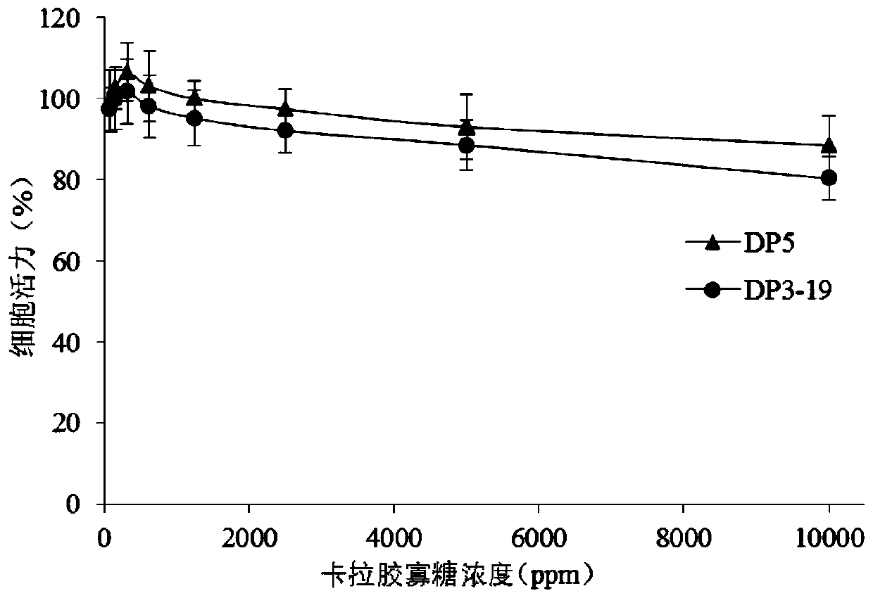 Application of carrageenan oligosaccharide and composition containing carrageenan oligosaccharide