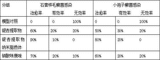 Application of gingko extract nanometer liposome in acne removing and dermatosis treatment