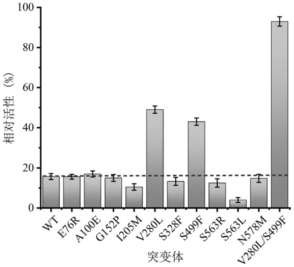 A kind of sucrose isomerase mutant with improved stability and its construction method