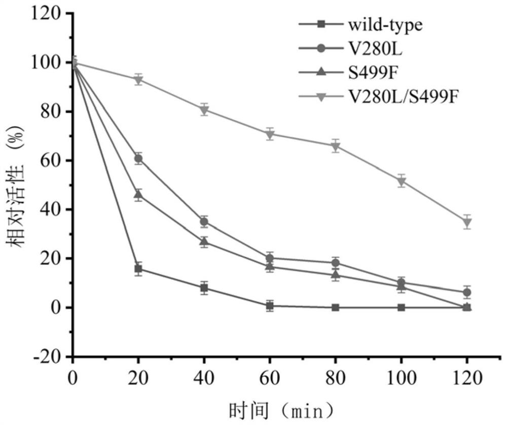 A kind of sucrose isomerase mutant with improved stability and its construction method