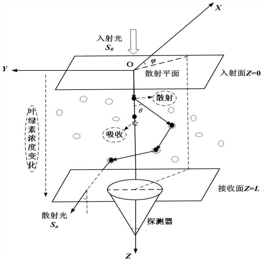 Underwater photon transmission simulation method based on vertical chlorophyll concentration distribution